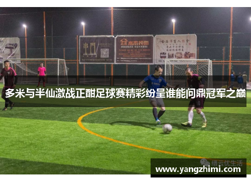 多米与半仙激战正酣足球赛精彩纷呈谁能问鼎冠军之巅